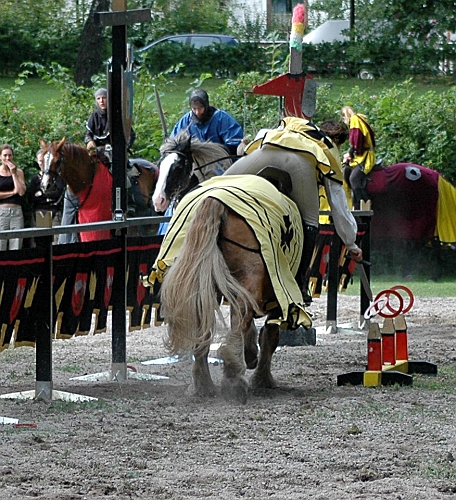2005_0813 (40).JPG - Nu plockar man lågt placerade ringar med svärd
